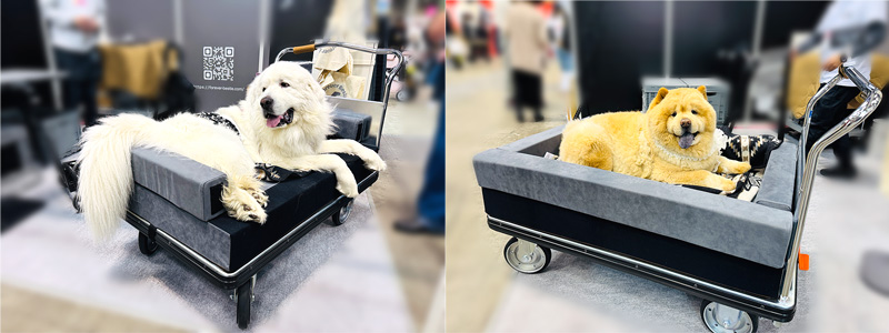 【大型犬用 介護カート】障がい移動補助(FBクルーザー)｜Forever Bestie