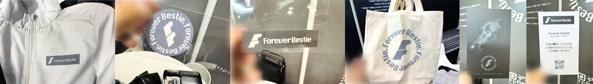 【大型犬用 介護カート】障がい移動補助(FBクルーザー)|Forever Bestie